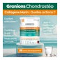 Granions Condrosteo+ Colágeno Marino 280g