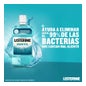 Listerine Enjuague Bucal Mentol 500+250 ml