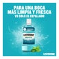 Listerine Enjuague Bucal Mentol 500+250 ml