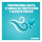 Listerine Enjuague Bucal Mentol 500+250 ml