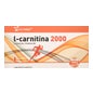 Plannatur L-Carnitin 20 Ampullen