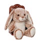 Aroma Home Cosy Hottie Hot / Cold Rabbit