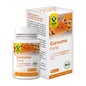 Raab Vitalfood Turmeric Forte Bio 90caps