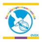 Evax Salvaslip Normal En Bolsitas Super Absorbente 40 Uds