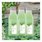 Mussvital Essentials Family Pack Aloe Vera Badegel 3x750ml