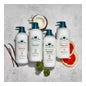 Dr Tree Eco gel de Ducha Hidratante 500 ml