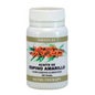 Ortocel Nutri-Therapy Argousier 500mg 100caps