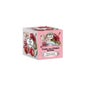 Provence d'Antan Tisane Bio Jour d'Amour 24 Saszetki