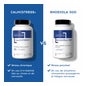 Lescuyer Rhodiola 300 60 comp