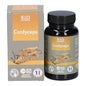 SID Nutrition Cordyceps 60 Perlas
