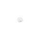 Primeras gotas de Ecosol de Pino Esencial
