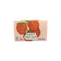 True Gum Bezcukrowe Gumy Malina i Wanilia 24x21 g