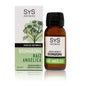 Sys Brunaroma Angelica Root 50ml