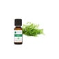 Voshuiles Aceite Esencial de Eneldo (Anethum Sowa) 10 ml