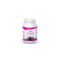 Etixx Isotonic Orange / Manga 1 Kg