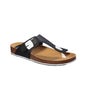 Scholl Spikey Ss 5 Scholl,