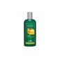Logona Champú Voluminizador 250 ml