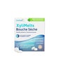 XyliMelts Boca Seca Menta Dulce Sin Azúcar 40 comp
