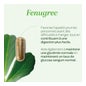 Superdiet Fenogreco Bio 40 Perlas