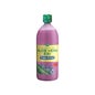ESI Aloe Vera-sap met geactiveerde pulp Cranberry 1l