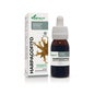 Extracto Harpagofito Xxi 50 Ml Soria N