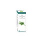 Equisalud Bio Essential Oil Eneldo 10 ml