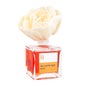 Interapothek Duftende Blomst Mango 80 ml