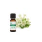 Voshuiles Aceite Esencial de Angélica 5 ml