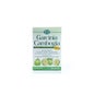 ESI Garcinia Cambogia 1000 mg 60 Cáps.