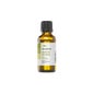 Terpene Zypresse der Provence 30ml