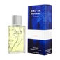 Rochas Eau de Rochas Homme perfume 100ml