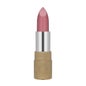 Catrice Pure Simplicity Matt Lip Colour C02 3,8g