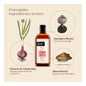 Nuggela & Sulé Champú Seborregulador Cabello Graso 250ml