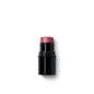 Dr. Hauschka Lip To Cheek Rosewood 6.1 g
