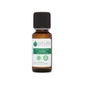 Voshuiles Carrot Essential Oil 20ml