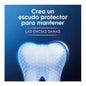 Oral-B Encías & Esmalte Repair Original Pasta Dentífrica 2x75ml