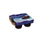 Delical Gelodiet Gel de agua Rais 4X120
