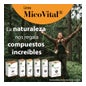 100% Natural Micovital Melena León 60 caps