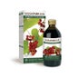 Dr. giorgini Zarzaparrilla 200 ml