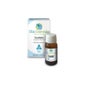 Aceite Esencial de Eucalipto gl 10 ml
