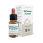 Ecosol de Lavanda Quintessence