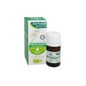 Phytosun'A He Ment Poiv Bio 10 ml