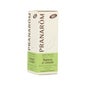 PranarÌ«m oil esencial de romero QT cineol 10ml