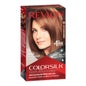 Revlon Colorsilk 54 Light Golden Brown Colorsilk Kit