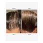 Olistic Women Pack 3 x 28 uds