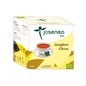 Josenea Jengibre Citrus BIO 10 pirámides en sobre