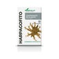 Harpagofito 60 Comp Soria Natural