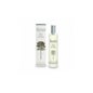 Absenta Perfumada Agua 100 ml