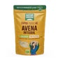 NaturGreen fiocchi d'avena NaturGreen Fine Gluten Free Oat Flakes Bio 1 Kg