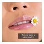 Apivita Labial Camomilla Spf15 4,4 g